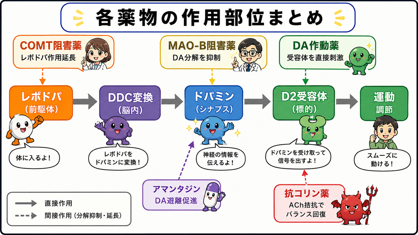 各薬物の作用部位まとめ