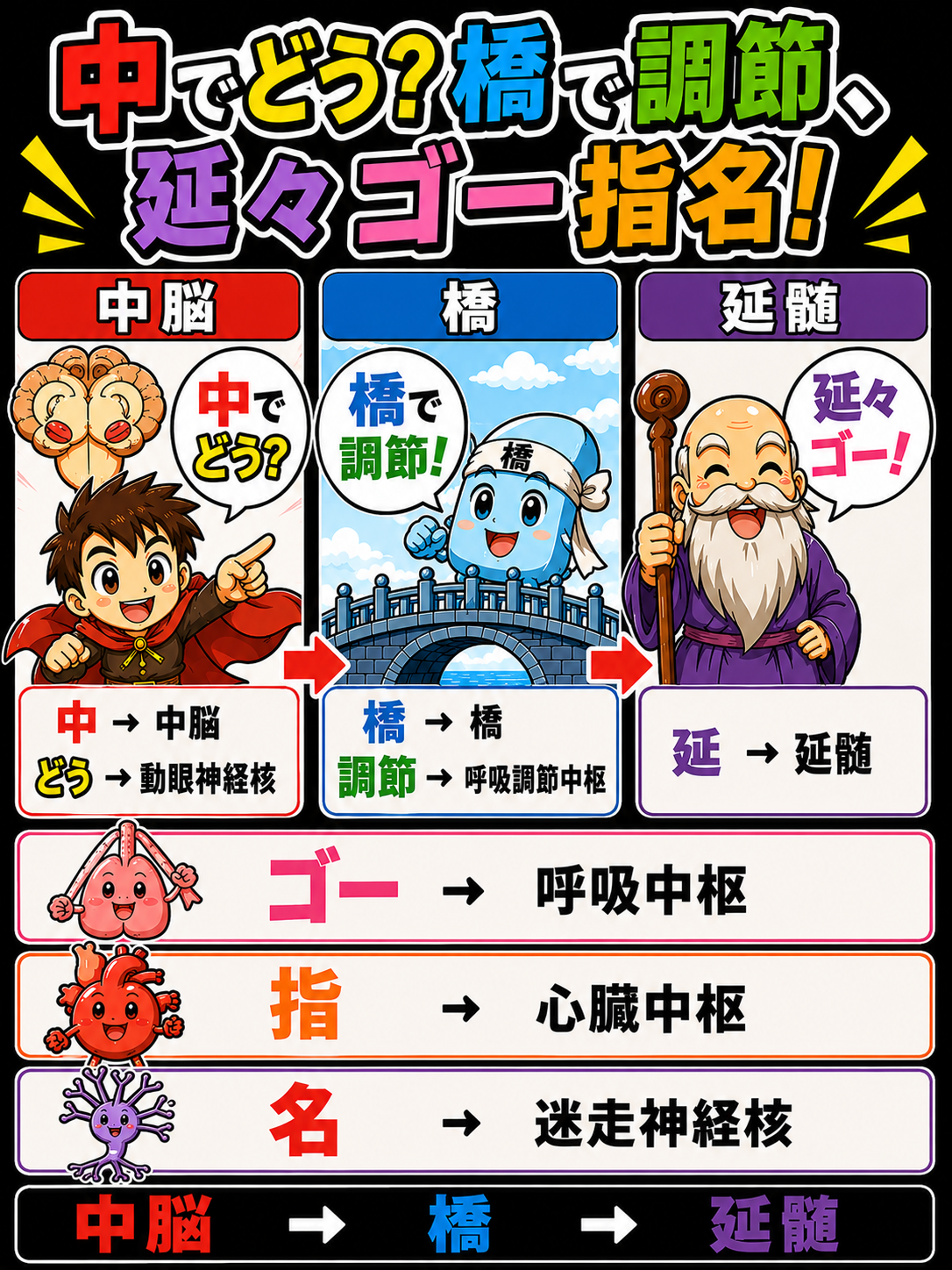 脳幹の機能まとめ語呂合わせ