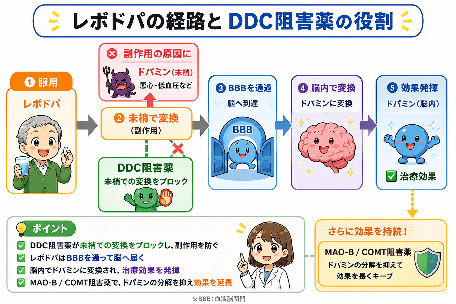 レボドパの経路とDDC阻害薬の役割